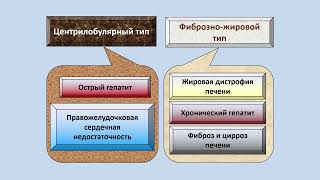 Ультразвуковая диагностика УЗИ Доктор Иогансен Выпуск 9 Диффузные изменения печени Часть 1 [upl. by Einafpets]