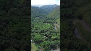 aerialfootage 🚁 honokohauvalley 🏞 maui🏝 [upl. by Aiksas440]