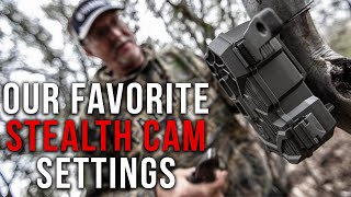 Our Favorite Stealth Cam Settings [upl. by Kcirddec]