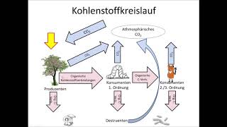 Kohlenstoffkreislauf [upl. by Lorianna]