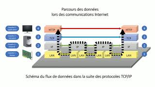 Cest quoi le TCPIP [upl. by Nosloc]