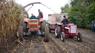 Ensilage 2017 avec des tracteurs dépoques SomecaFiatInternationalMCCormick IH New Holland [upl. by Audrye598]