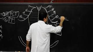 Gross Anatomy of Anterior Abdominal Wall Skin and superficial fascia [upl. by Eliza]