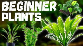 Top 10 Easy Beginner Aquarium Plants [upl. by Erdah]