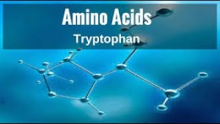 Special Amino Acid Metabolism lecture 5 [upl. by Yadsendew215]