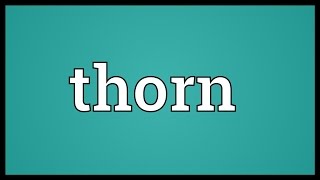 Thorn Meaning [upl. by Edelson]