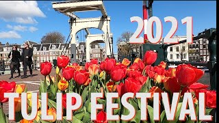 Tulip Festival Amsterdam 2021 [upl. by Ilzel]