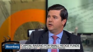 How Much Money Does a Hedge Fund Startup Need [upl. by Enahpad409]