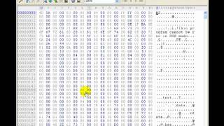 Hex Editor Password Hack with demonstration [upl. by Barret]