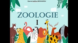 Cours zoologie  Partie 1 Protozoa [upl. by Daj]