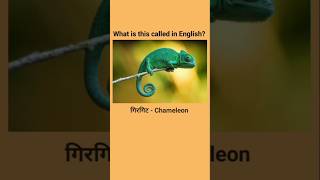 Insects Name in English Part  4 🐛🐝🐞 ytshorts shorts vocabularywala [upl. by Lierbag]