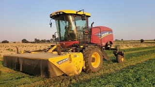 Swathing cutting hay with a New Holland 220 Speedrower [upl. by Dolhenty]