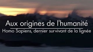 Aux origines de lhumanité  Homo Sapiens dernier survivant de la lignée 33 [upl. by Cherlyn]