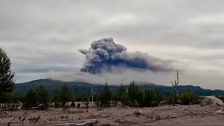 14082024  Shiveluch Kamchatka Russia  Eruptions following a massive earthquake shorts [upl. by Baniez]