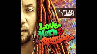 Love Herb amp ReggaeTaj Weekes [upl. by Koblas]