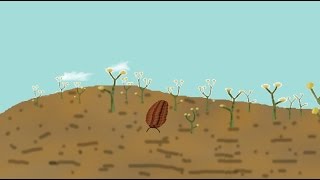 Silurian Land Ecosystems [upl. by Attikram]