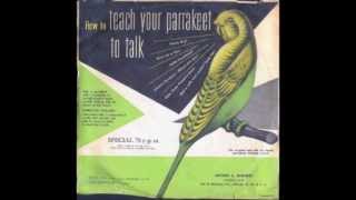 How to Teach Your Parakeet to Talk 1951 [upl. by Buddie]