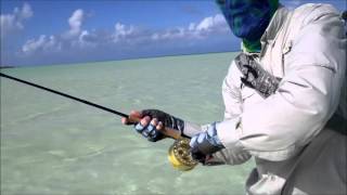 Paredon Grande  Cuba  Bonefish  Nov 2015 [upl. by Nylasoj]