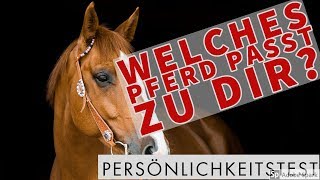 ❤️️ Welches Pferd passt zu dir Persönlichkeitstest ❤️️ [upl. by Levon293]