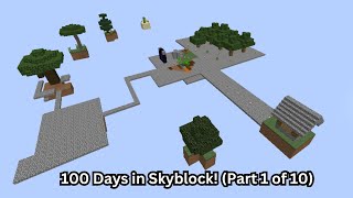 100 Days in Skyblock Days 110 [upl. by Ap512]