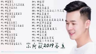 抖音最火小阿枫翻唱2019大合集1小时版 [upl. by Felizio837]