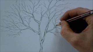 How to Draw a Tree Step by Step for Beginners In 8 Minutes [upl. by Drescher]