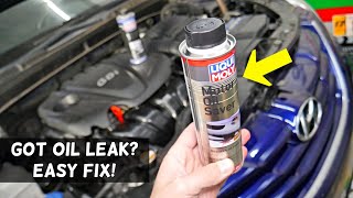 HOW TO FIX HYUNDAI THAT LEAKS ENGINE OIL EASY OIL LEAK FIX [upl. by Juley]