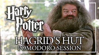 STUDY IN HAGRIDS HUT  Harry Potter Pomodoro Session  Harry Potter ASMR [upl. by Odilo799]