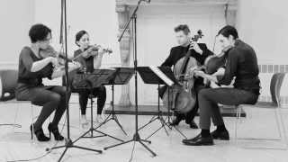 Philip Glass  String Quartet No 3 quotMishimaquot  VI [upl. by Shawna675]