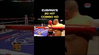 Chris Eubank 20Hit Knockout [upl. by Elak]