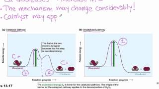 135 Catalysis [upl. by Iahcedrom564]
