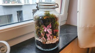 How To Make a Sealed Terrarium  Creating a Closed Terrarium Ecosystem [upl. by Hplar]