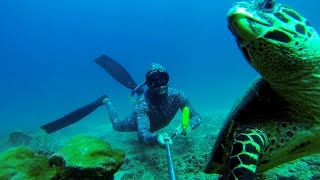 Buceo libre freedive Isla del caño Costa Rica [upl. by Llehsal]