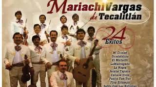 MARIACHI VARGAS D TECALITLAN  LAS MAÑANITAS [upl. by Keelby88]