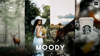 Moody Preset  Lightroom Presets Free DNG and XMP Download  Lightroom Photo Editing Tutorial [upl. by Alexandria]