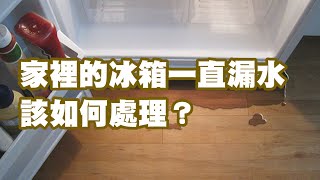 家裡的冰箱一直漏水 該如何處理？ [upl. by Yorgen]