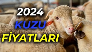 2024 KURBANLIK KUZU FİYATLARI  KIVIRCIK KUZUNUN TEK ADRESİ [upl. by Ahsot]