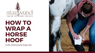 How to Treat a Hoof Abscess In a Horse [upl. by Akenor286]