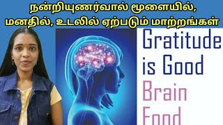 நன்றியுணர்வால் மூளையில் மனதில் உடலில் ஏற்படும் மாற்றங்கள்Gratitude MeditationTharcharbuvazhkai [upl. by Mandler]