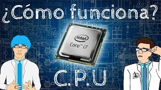 ¿CÓMO FUNCIONA UN CPU  Guía explicativa [upl. by Etnoek337]