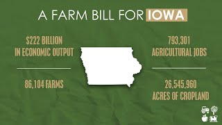 Rep Feenstra secures victories for Iowa agriculture in the Farm Bill [upl. by Lisette]