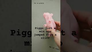 This is piggo♡ [upl. by Ashla]