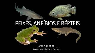 PEIXES ANFÍBIOS E RÉPTEIS  7° ANO FINAL Professora Tamires Valente [upl. by Dugaid]