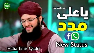 Ya Ali Madad  Hafiz Tahir Qadri New Whatsapp Status  2021 [upl. by Hector908]