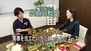 阪神芝1800mで“儲かる血統”とは？亀谷敬正 [upl. by Nilson]