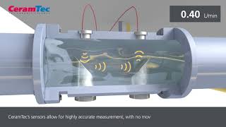 Ultrasonic Flow Sensor [upl. by Nathan]