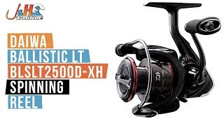 Daiwa Certate LT Reel Review Is This Worth The Cost [upl. by Ahsimik]