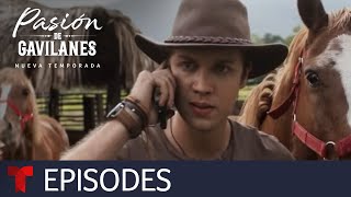 Pasión de Gavilanes New Season  Episode 7  Telemundo English [upl. by Wootan]