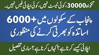 Punjab Educators Jobs 2021  Latest Jobs in Pakistan  STI Jobs 2021 [upl. by Faxun563]