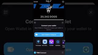 CONNECT YOUR TON WALLET FOR DOGS AIRDROP  How to WITHDRAW DOG AIRDROP 378 [upl. by Cannice]